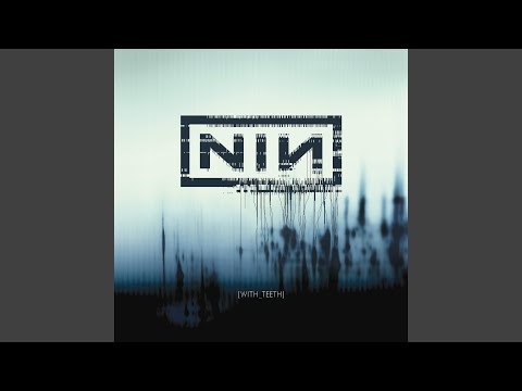Nine Inch Nails - Every Day Is Exactly the Same