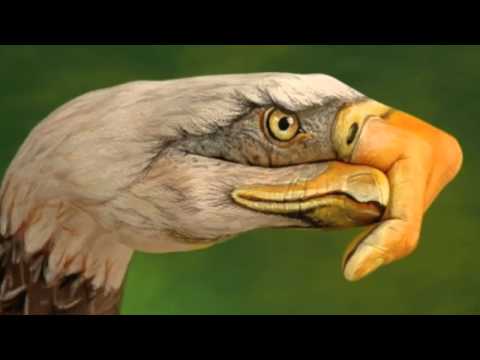 Eagles - Best of My Love
